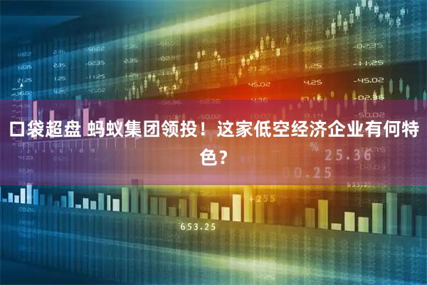口袋超盘 蚂蚁集团领投！这家低空经济企业有何特色？